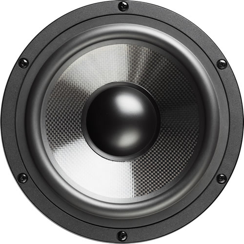 typical cone driver speaker front view