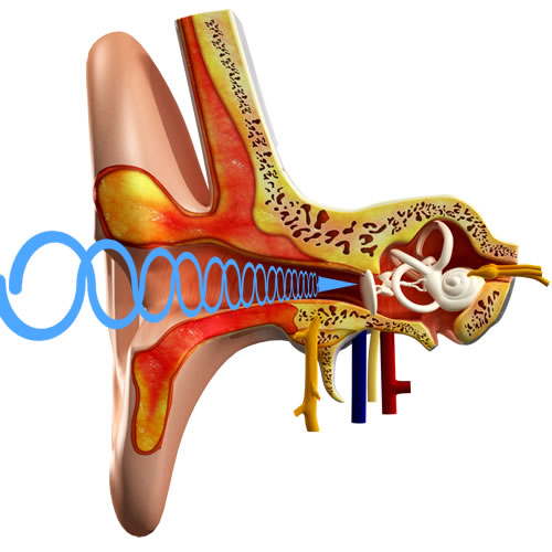 illustration of a spherical wave as it enters the ear